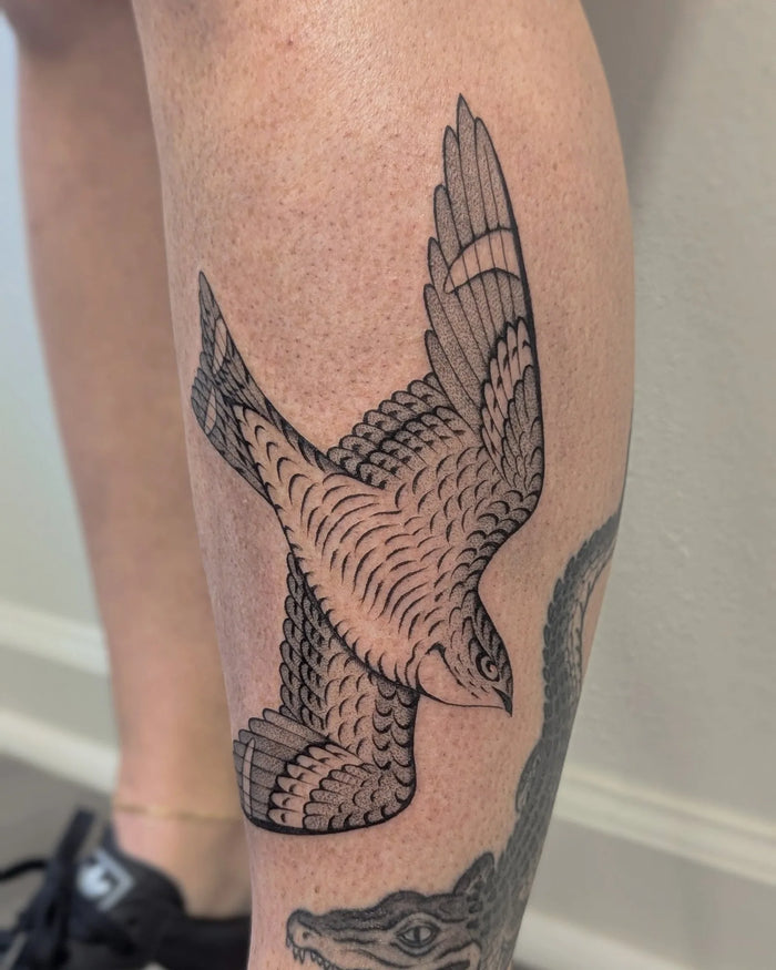 Fine Line/ Stipple