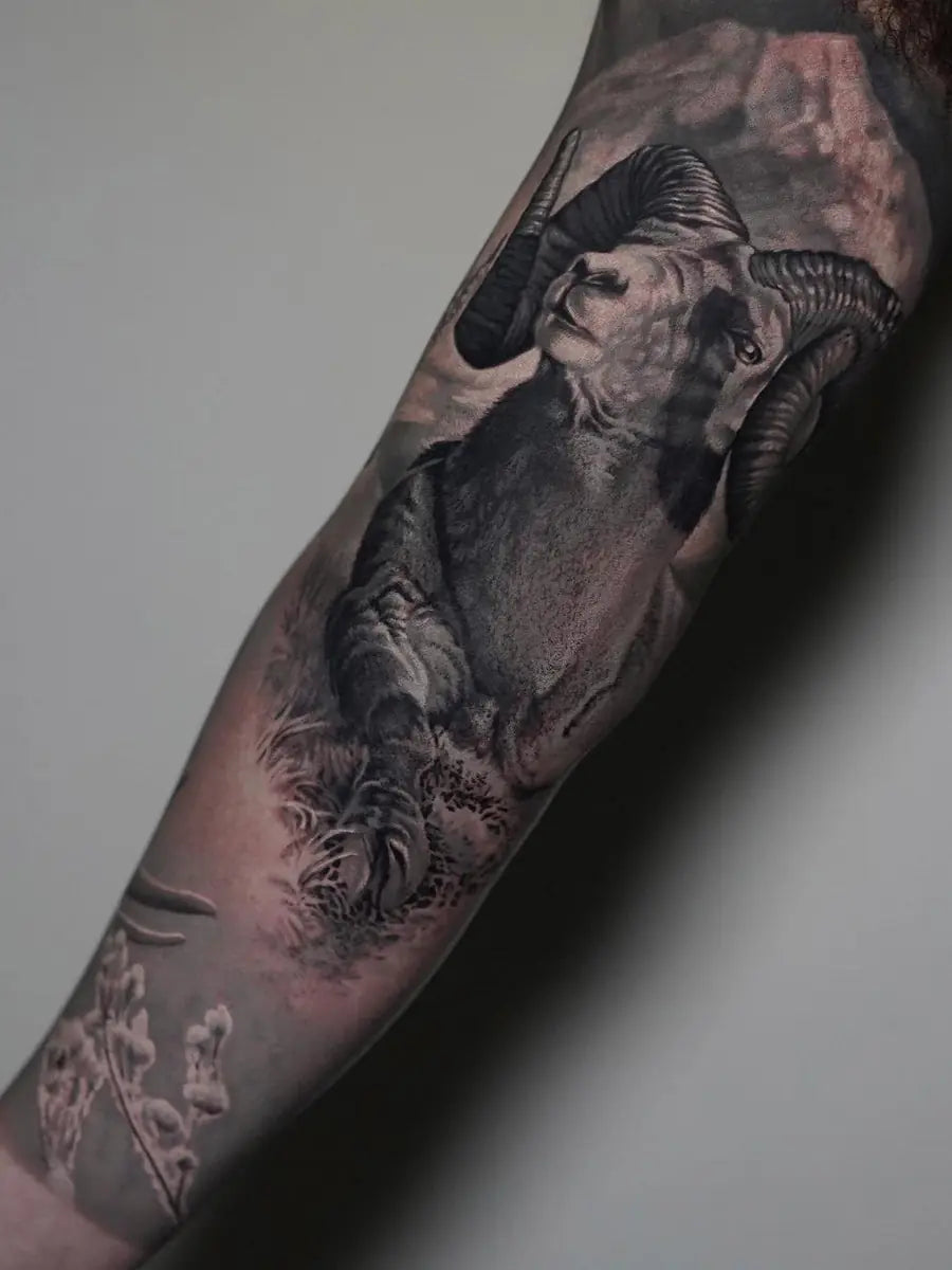 Animals & Nature