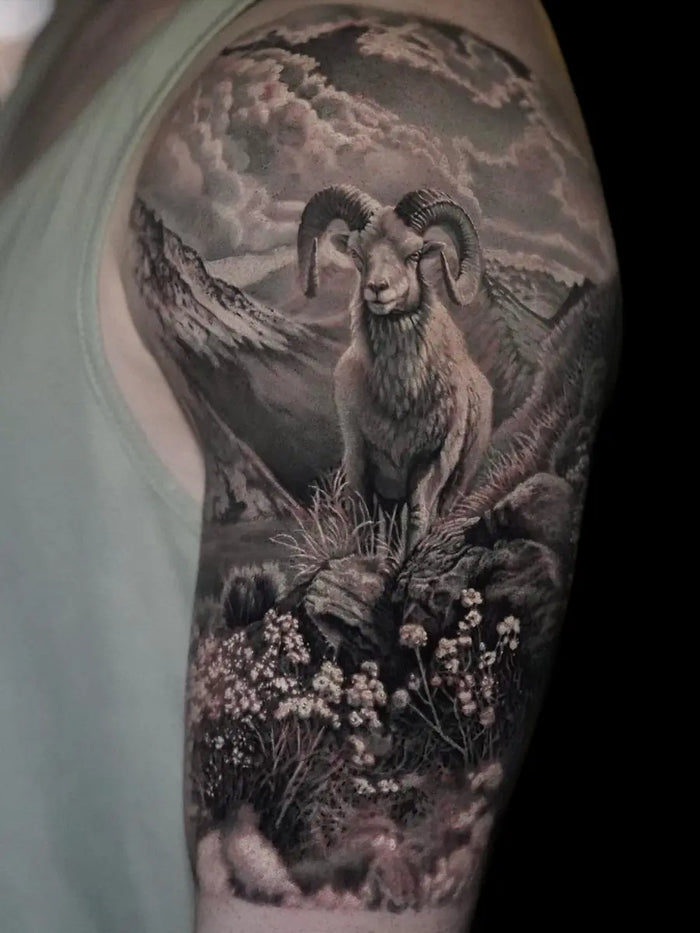 Animals & Nature