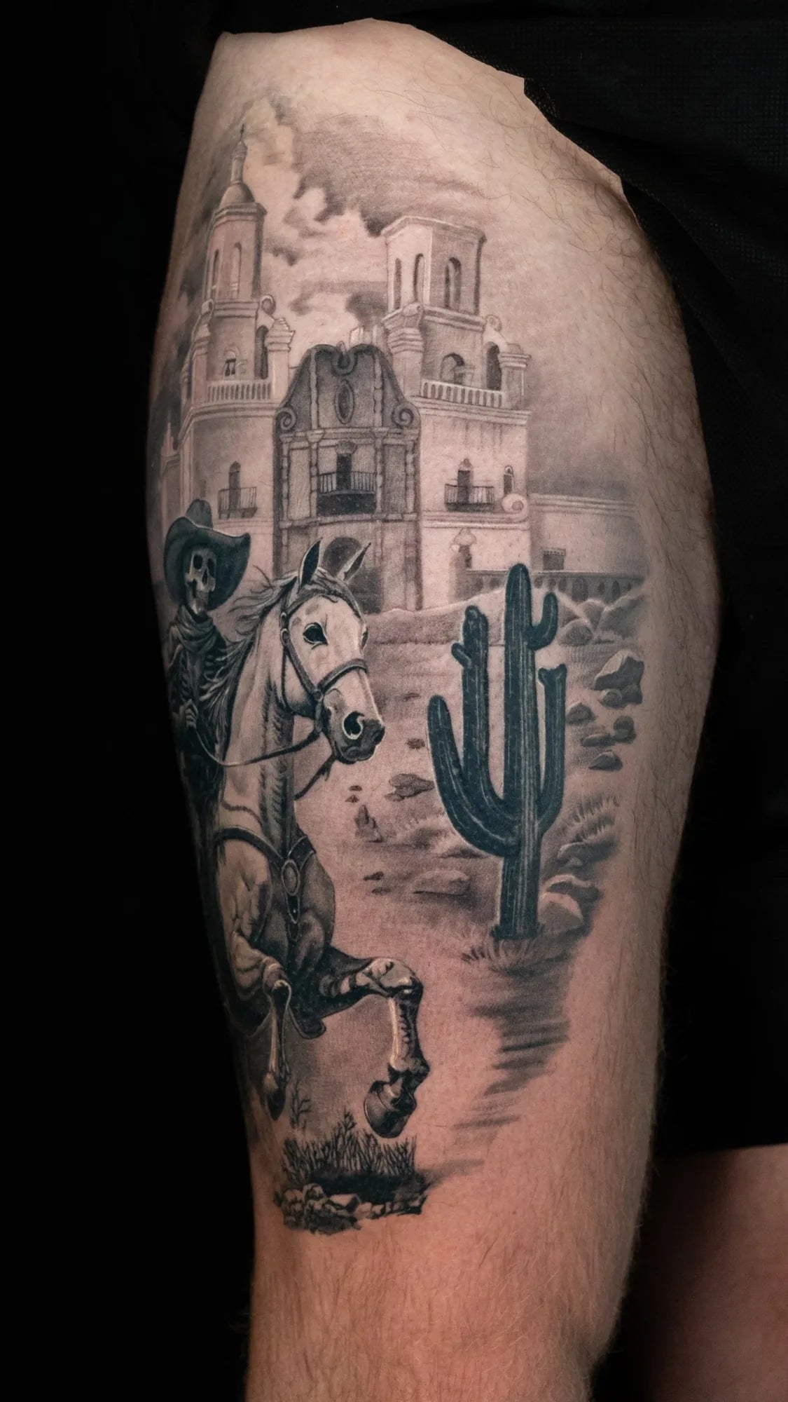 Horse and Rider