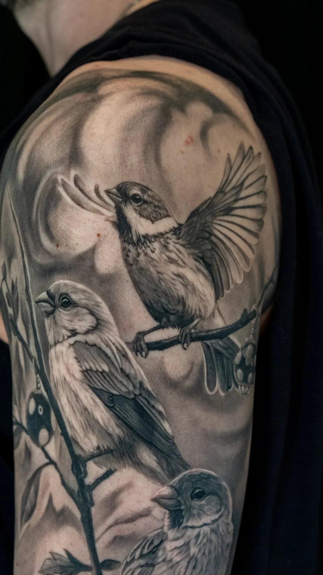 From Land to Sea Sleeve