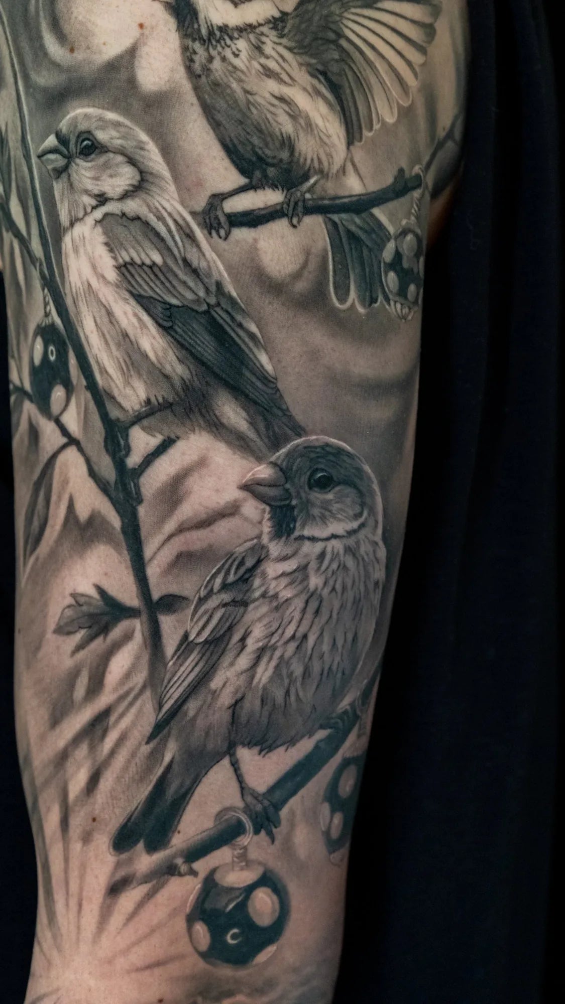 From Land to Sea Sleeve