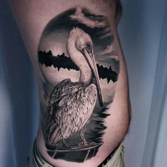 Pelican