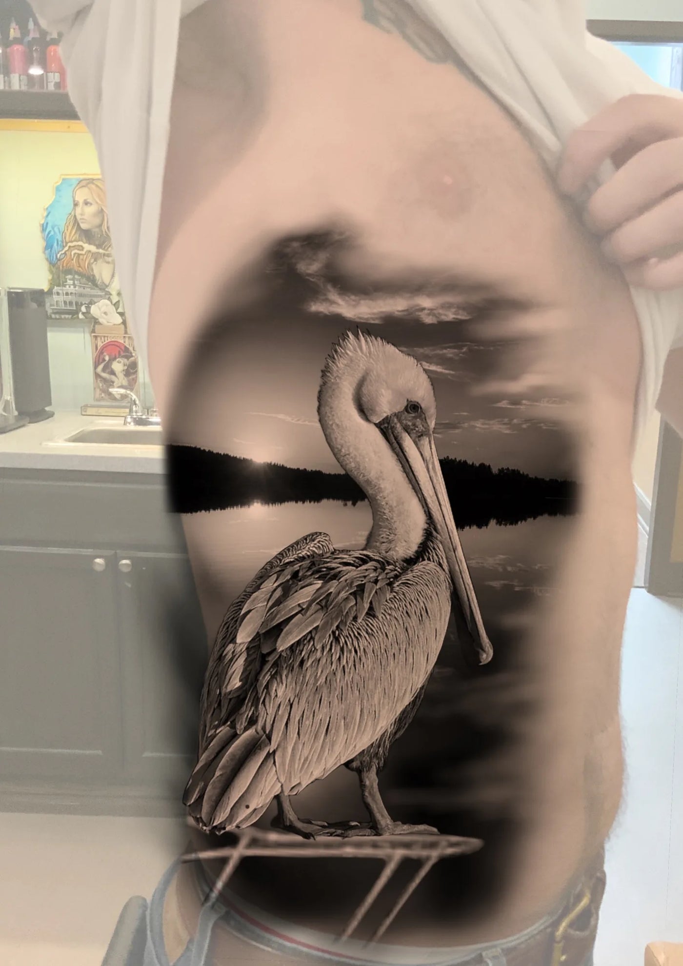 Pelican