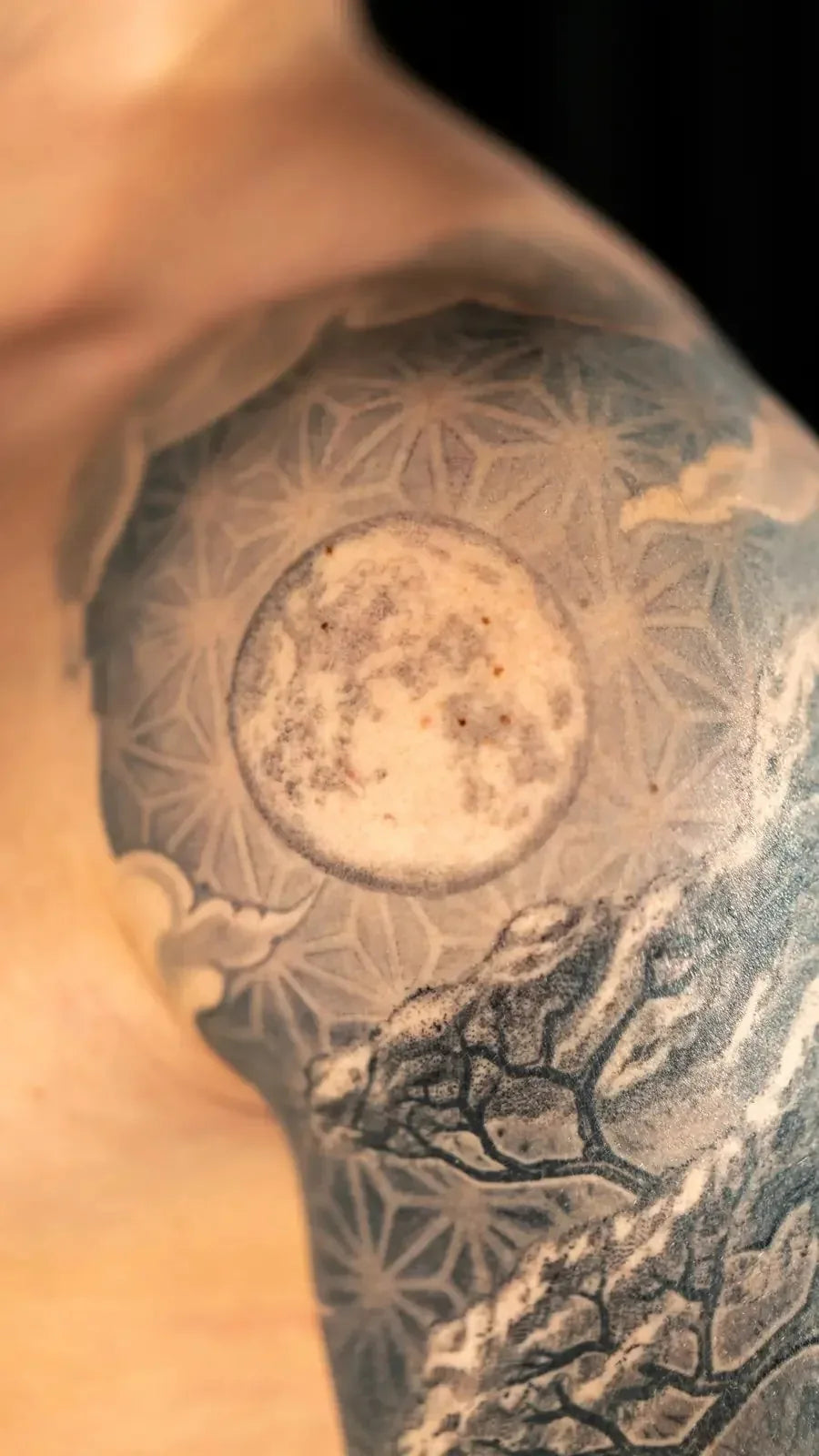 Bonsai Moon Kumiko Sleeve