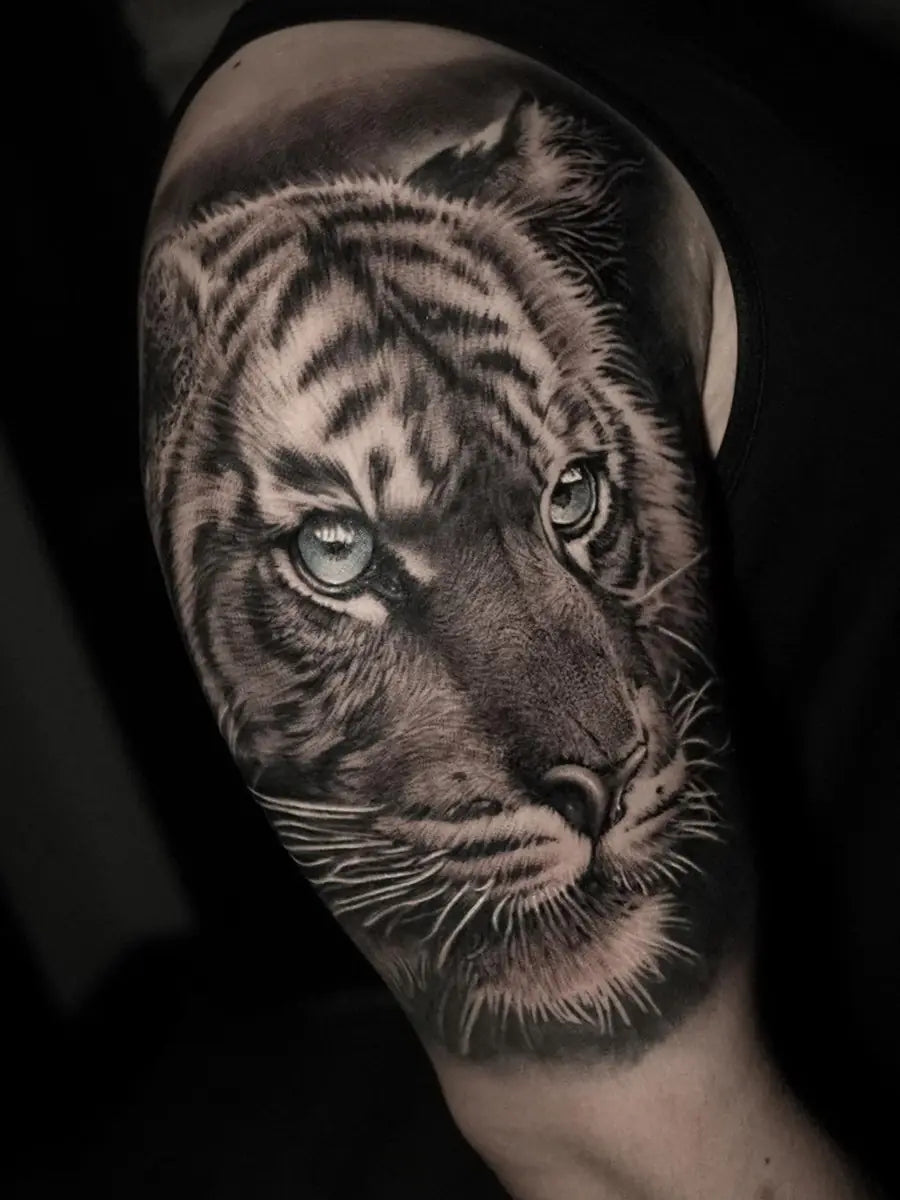 Animals & Nature