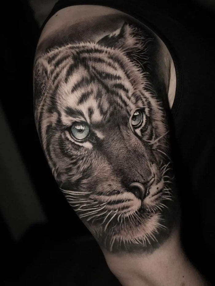 Animals & Nature