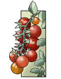 Tomato flash design by Mel Perlman